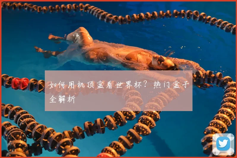 如何用机顶盒看世界杯?热门盒子全解析