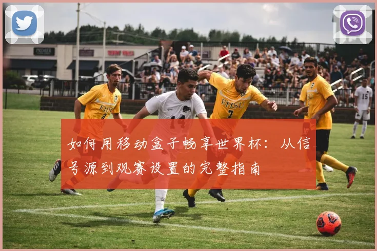 如何用移动盒子畅享世界杯:从信号源到观赛设置的完整指南
