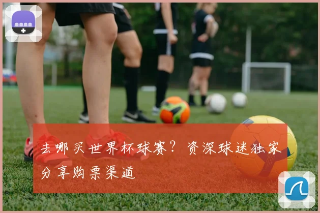 去哪买世界杯球赛？资深球迷独家分享购票渠道