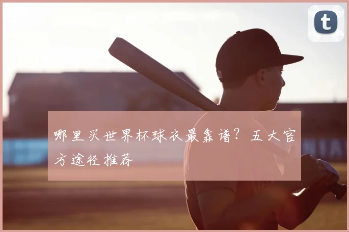 哪里买世界杯球衣最靠谱?五大官方途径推荐