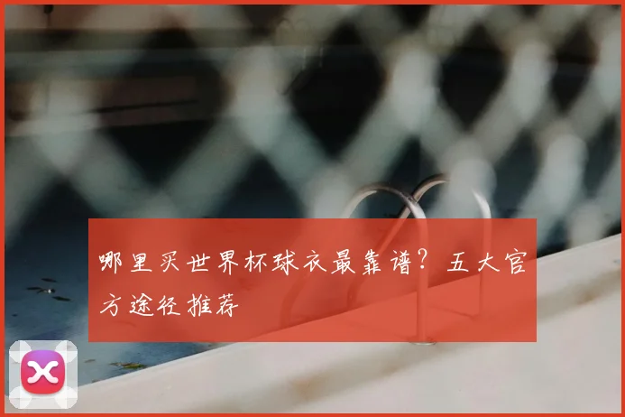 哪里买世界杯球衣最靠谱?五大官方途径推荐