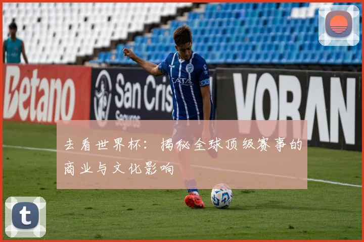 去看世界杯：揭秘全球顶级赛事的商业与文化影响