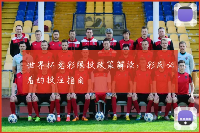 世界杯竞彩限投政策解读，彩民必看的投注指南