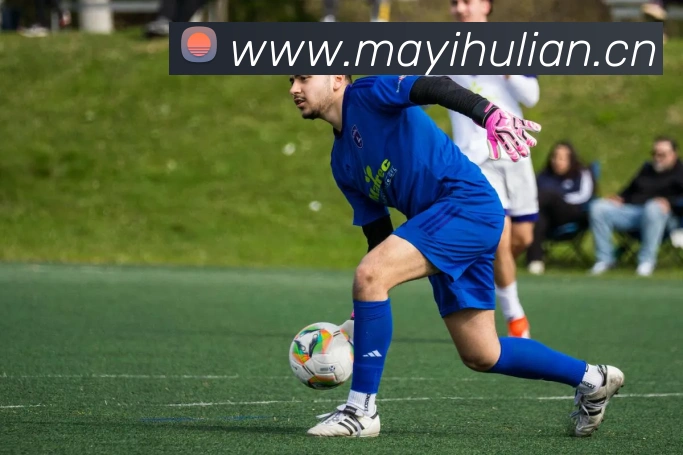 hth官网首页入口服务体系